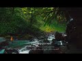 숲 속 계곡 물소리와 함께 듣는 힐링음악, 힐링영상 / 명상 / 요가 / Healing music with the sound of valley water