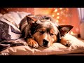 SUPER RELAXING!! CALMING MUSIC -  SEPARATION ANXIETY RELIEF MUSIC FOR DOGS | New 2024!
