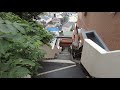 天界の住宅地を歩く 横浜 保土ケ谷（神奈川県）／斜面住宅地に囲まれた谷間のまち