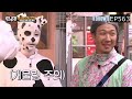 Song Ji Hyo Cute and Funny Moments - Running Man [RM 536-578]