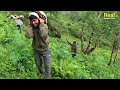 This is Shepherd Life | Nepal | Ep-2 | Organic Shepherd Food | Village Life | Real Nepali Life🇳🇵