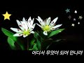 # 어디서 무엇이 되어 만나랴#💜세리나cover# 원곡 유심초