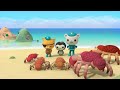 Octonauts: Above & Beyond - 🤗 Friendly Islands 🏝 | Compilation | @Octonauts​