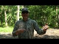 Planting Rice for Ducks | Easy Way to Hold More Ducks | Rusty Creasey from Coca Cola Woods