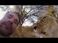 GoPro: Lions - The New Endangered Species?