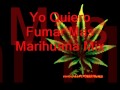 Yo Quiero Fumar Mas Marihuana mix - Dj Archiflow FT Dj Ccas