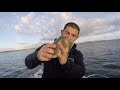 Bass Fishing and Bait Collection - Sea Fishing UK