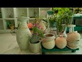[4K] Create an elegant garden for hanging plants using recycled props