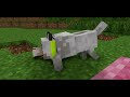 Wolf Life - Full Series! - Craftronix Minecraft Animation