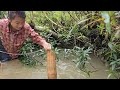 Vietnamese girl Use bamboo baskets to catch fish and bring them to the market to sell for a living