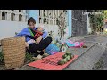 Single mother - Rescuing an abandoned baby girl - Harvesting pumpkins to sell at the market