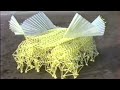 strandbeest evolution