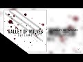 Valley Of Wolves - 