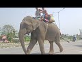 new Travel and tino Hati Ek sat Jarahahu and Kaziranga to Guwahati 02 Ep