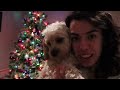 My Night Time Routine with My Cavapoo Puppy