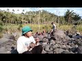 survival hunting ||  bertahan hidup di sungai & berburu bakar singkong hutan sangat lezat