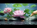 Soothing Relaxation Relaxing Piano Music, Sleep Music, Water Sounds, Relaxing Music, Meditation #13