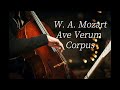 1HRㅣ W. A. Mozart Ave Verum CorpusㅣCello MusicㅣDeep SleepㅣRelaxingㅣPeacfulㅣClassical CelloㅣHealing