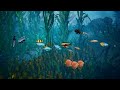 Relaxing Dream Aquarium Fish Tank with Only Water Sounds | Great Screen Saver | 3 Hours