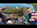 CATCH & COOK - Smoked Rainbow Trout on NEW Lake and NEW Kayak!!! (Old Town Sportsman Auto Pilot 120)