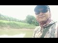 SPOT IKAN PATIN CITARUM DI PENYEBRANGAN YANG VIRAL...