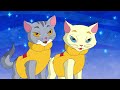 Dora Explores w/ Kittens! 😻 EPISODE: Dora's Moonlight Adventure | Dora & Friends