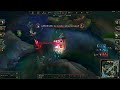 Fiora Pasive Bug Visual