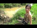 Happy day with Monkey Harvesting Fish & Snail at the Farm go to Market Sell - Cooking | Country Life