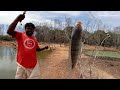 Unbelievable Small Boy Catching of Many 1.5 Kg WHITE Tilapia Fish in Lake | Best Fishing Technique