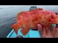 Spot Mancing Potensial..!! Strike ikan IDAMAN para pemancing | Mancing Jigging pakai Umpan Kecil