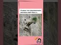 ПРИКОЛЫ🤣 АНЕКДОТЫ 🤣 ЮМОР #анекдоты #юмор #shorts #рекомендации #tiktok