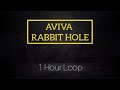 AVIVA Rabbit Hole | One Hour Loop
