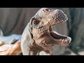 Allosaurus vs Camarasaurus - A Sideshow Dinosauria Tribute Part 2 #sideshow #dinosaurs #prehistoric