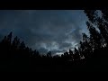 Sunset timelapse in a forest.