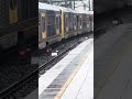 Trainspotting  a tangara  t set at Strathfield
