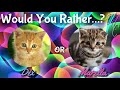 Would You Rather: Marella and Dex Edition || KOTLC || Mak and Chyss