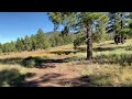 Buffalo park back trails. Flagstaff, AZ. September, 2022.