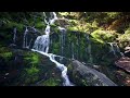 Relaxing Sleep Music with RAIN SOUNDS: INSOMNIA Relief, Deep Sleeping Music and Meditation Music