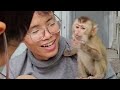 Lambo's family used to have adorable baby monkeys... unfortunately...