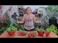 ELEVEN-HOURS 🌸 HOW TO GROW and MAKE a VERTICAL GARDEN