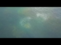 Drone Footage: Sharks in the Water