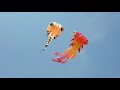 Marina barrage kite fly, tadpole 20 and 9m goldfish kite