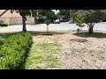 Quick tour of the front yard