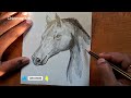 Pencil Sketch || Horse Drawing || How To Draw Horse Head Step by Step @Chinmoyart