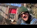 Make Your Own Organic Chicken Feed & Save Money!