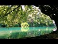 Relaxing Harp Music 🎵 Meditation Music, Stress Relief Music, Peaceful Forest Sounds (Lake Mood)