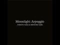 月の光のアルペジオ (feat. Shintaro Aoki)