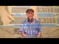 A Few Lloyd Green Style Licks | Pedal Steel Guitar Lesson