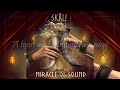 The Most Powerful Version: Miracle Of Sound - Skål