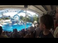 Day 4 - Dolphins Part 1 - Sea World